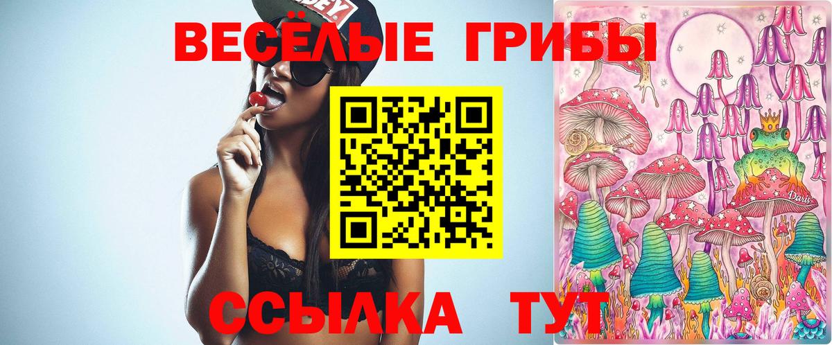 Галлюциногенные грибы мухоморы Выборг