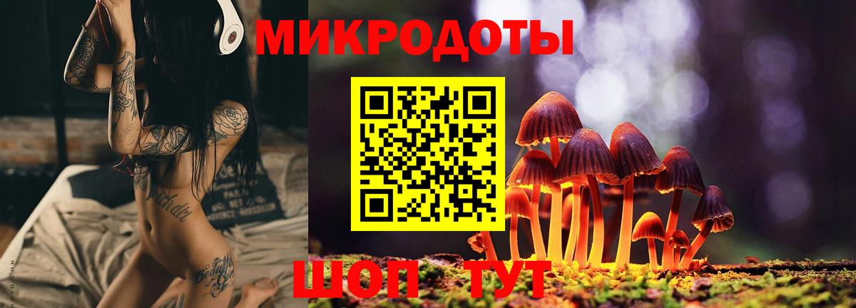 Псилоцибиновые грибы MAGIC MUSHROOMS  Вход с VPN  закладки  Выборг 